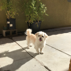Sophie